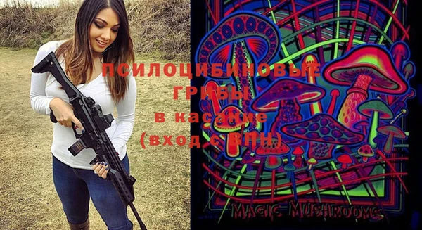 винт Алексеевка