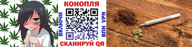 Шишки марихуана ГИДРОПОН  Александровское 